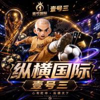 纵横国际(火爆开业)